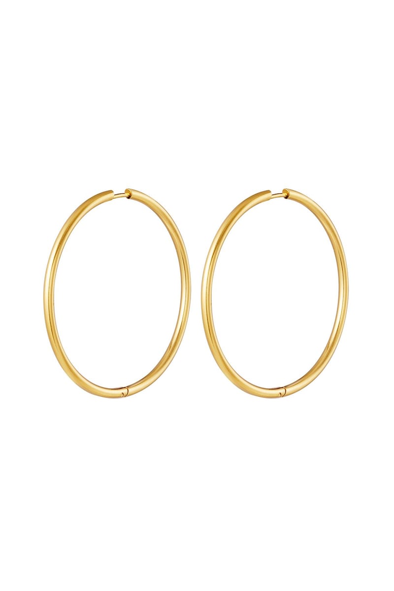 stainless steel earrings hoops large