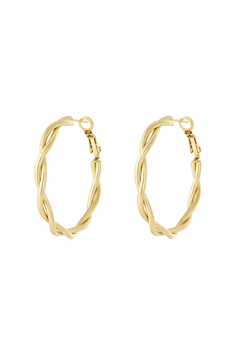 Stainless Steel Hoop Earrings Geometric Casual Daily Simple Series Women's jewelry