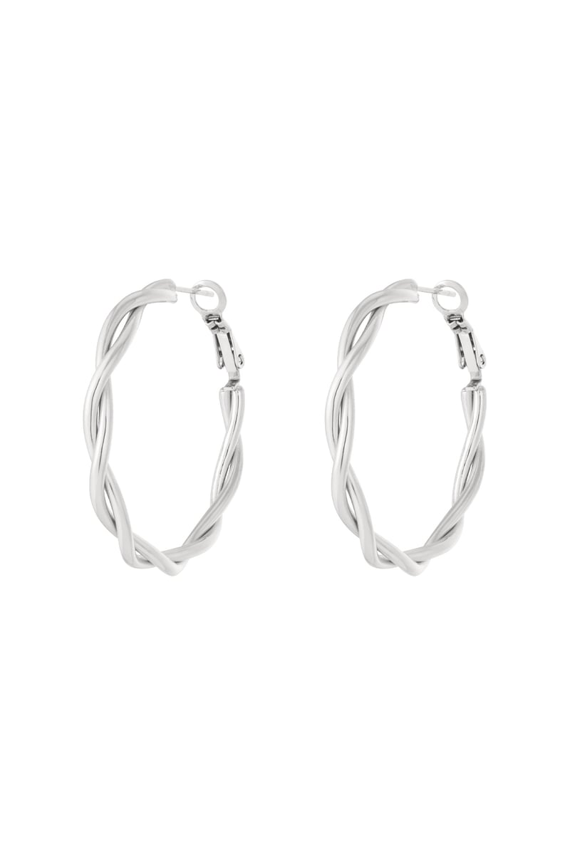 Stainless Steel Hoop Earrings Geometric Casual Daily Simple Series Women's jewelry