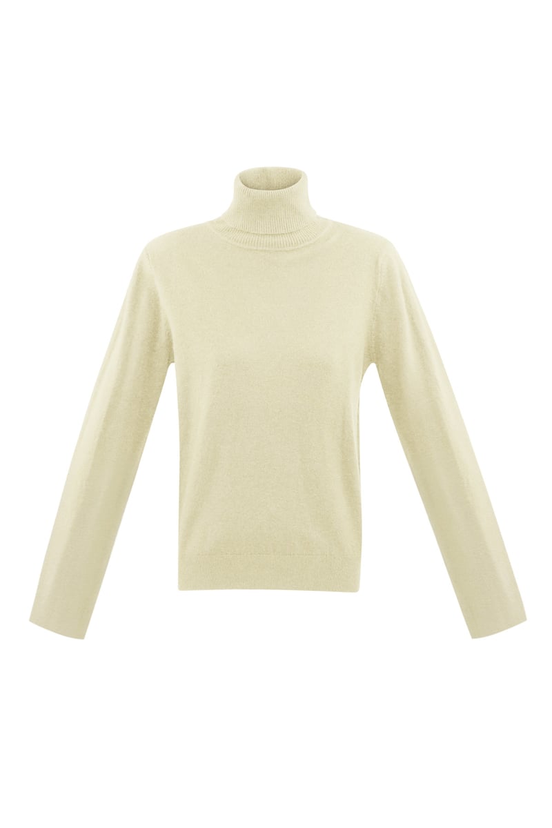 Honeydew turtleneck