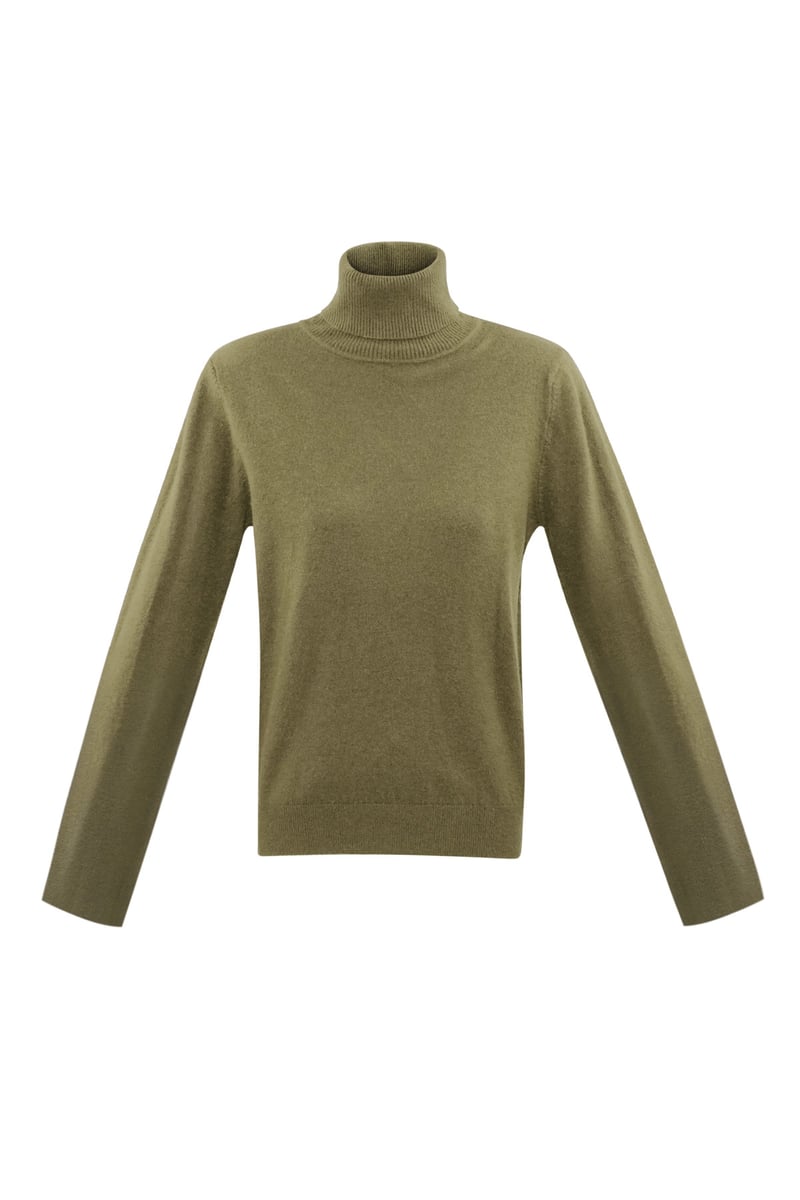 Honeydew turtleneck