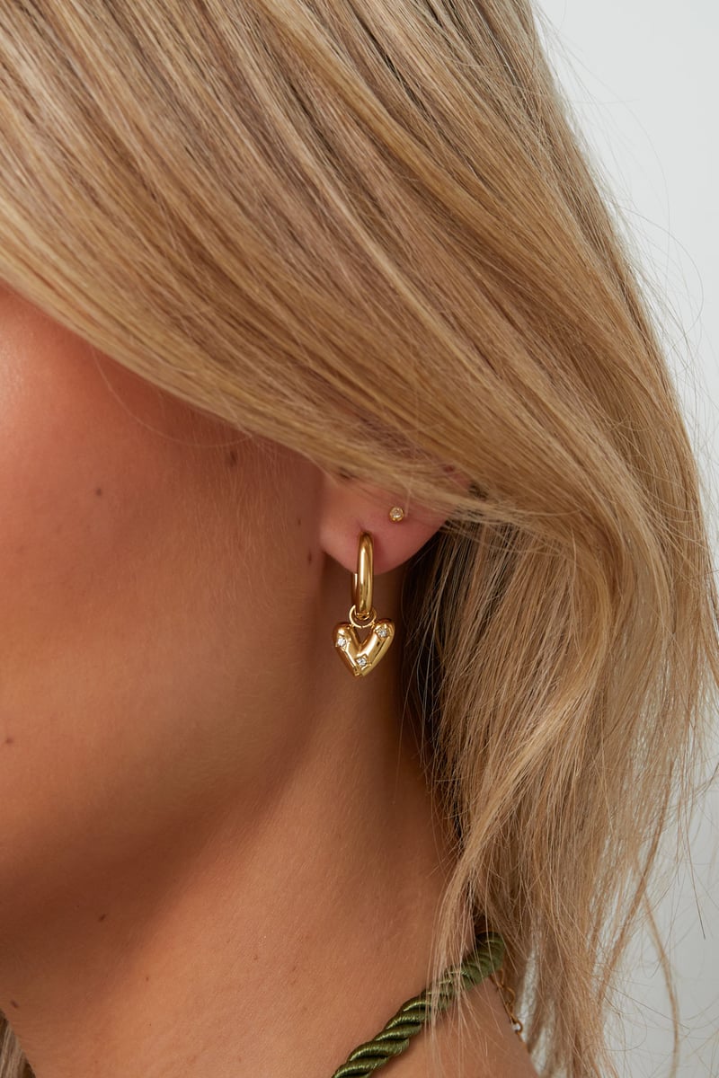 Stainless Steel Drop Earrings Heart Casual Daily Simple Series Women's jewelry