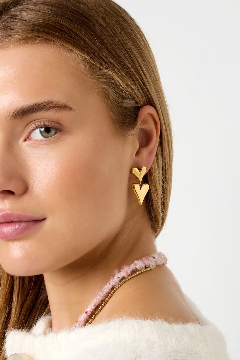 Stainless Steel Drop Earrings Heart Casual Daily Simple Series Women's jewelry