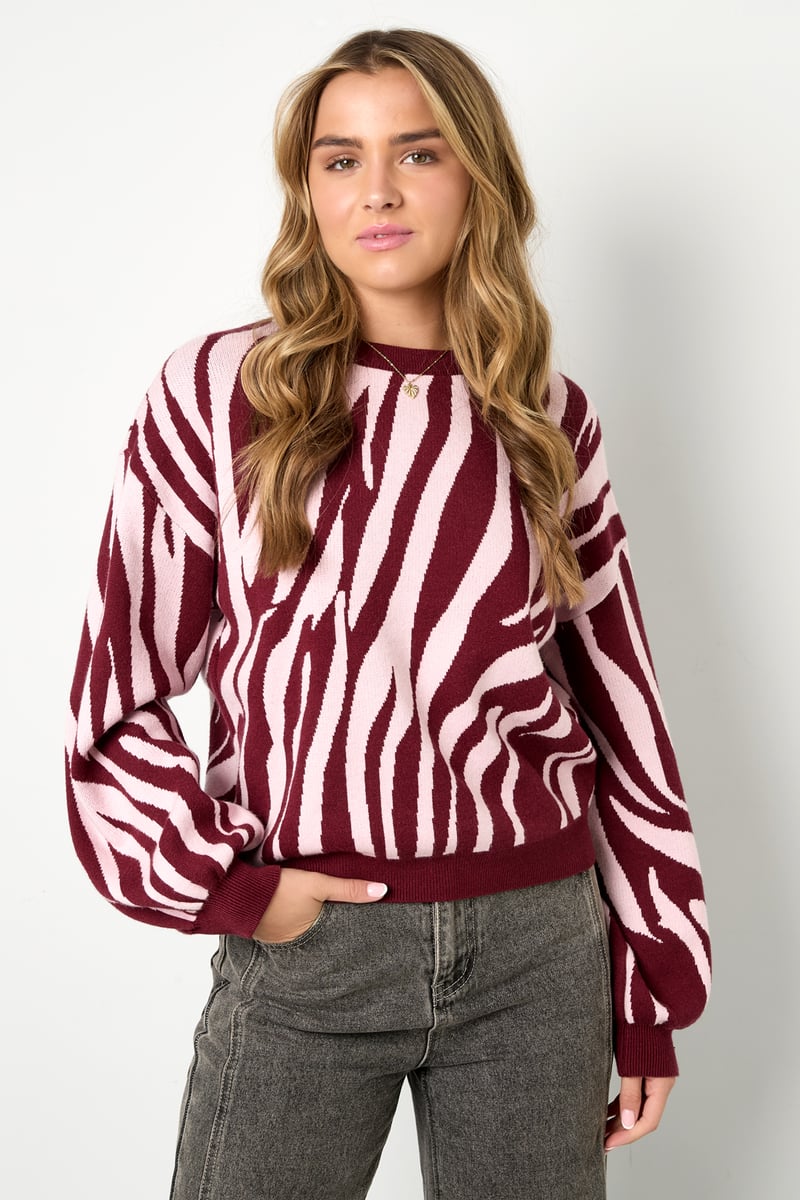 Knitted sweaters Zebra stripes Casual autumn/winter clothing