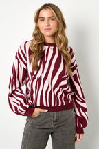 Knitted sweaters Zebra stripes Casual autumn/winter clothing