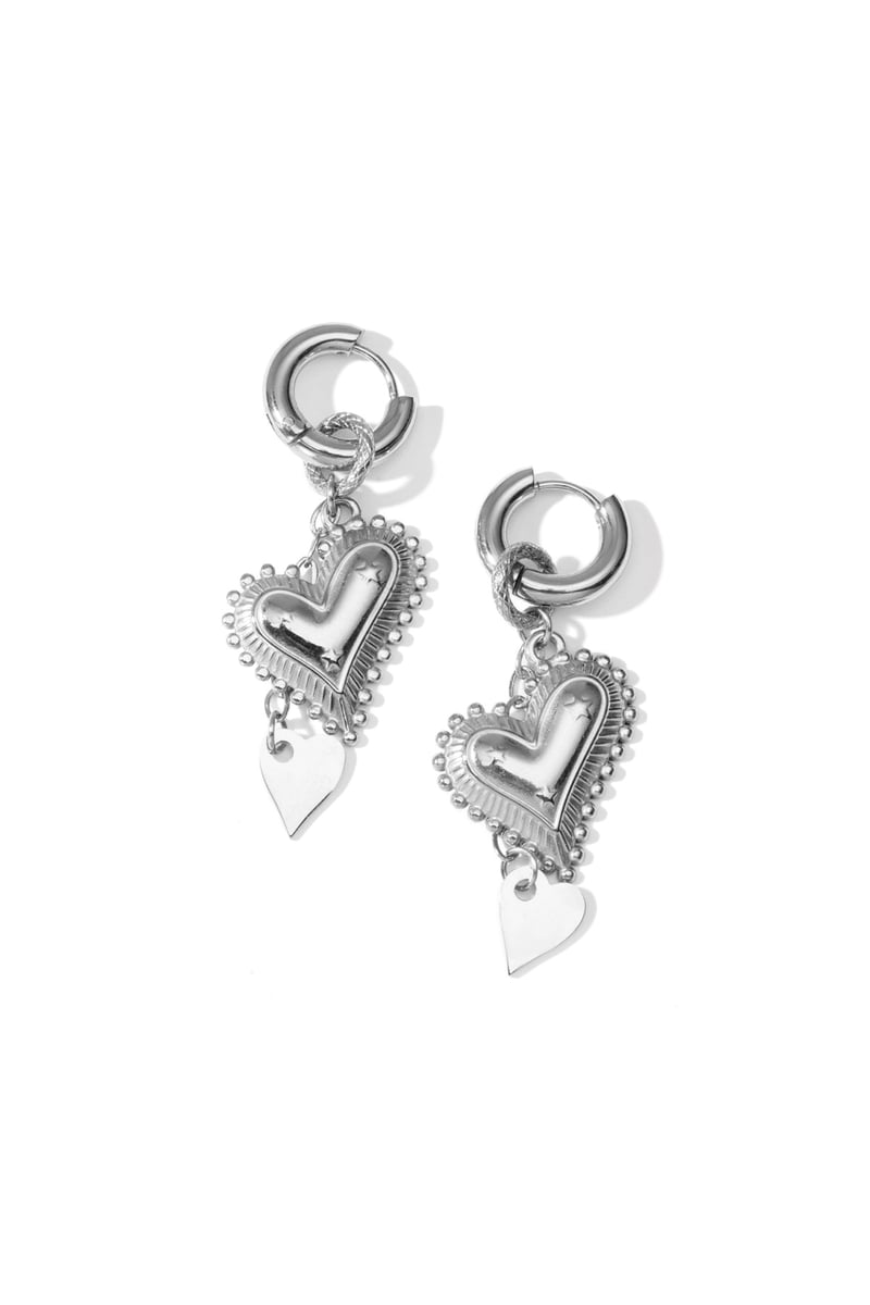 Stainless Steel Drop Earrings Heart Casual Daily Simple Series Women's jewelry
