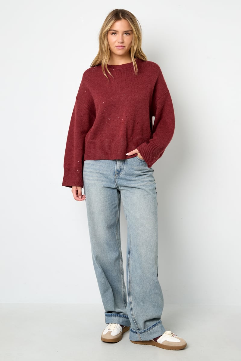 Sparkling Knit sweater